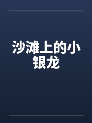 沙滩上的小银龙封面
