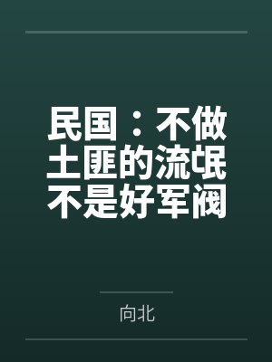 民国：不做土匪的流氓不是好军阀封面