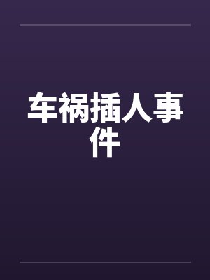 车祸插人事件封面