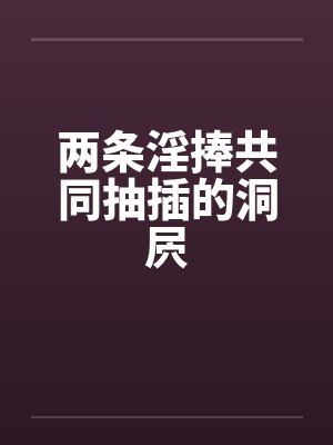两条淫捧共同抽插的洞屄封面