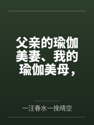 王振王二麻子封面