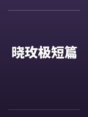 晓玫极短篇封面