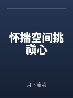 怀揣空间挑禛心封面